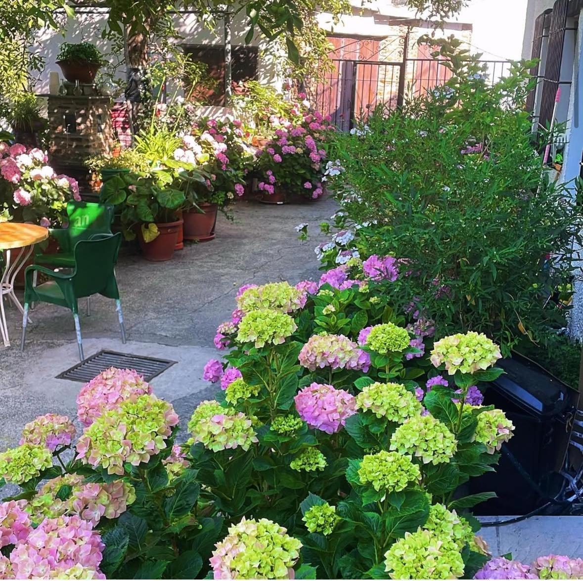 Hostal Rural Las Terrazas De La Alpujarra Bubion Exterior photo